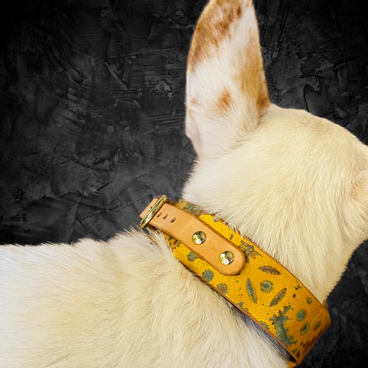 Stylish small dog collar: hand-painted leather with unique Steampunk pattern and golden clasp